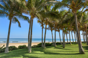 shutterstock_376699909